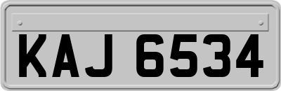 KAJ6534