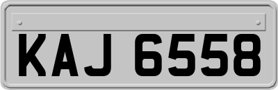 KAJ6558