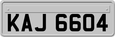 KAJ6604