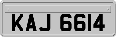 KAJ6614