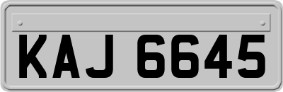 KAJ6645