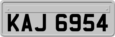 KAJ6954