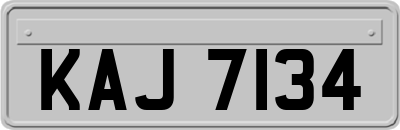 KAJ7134