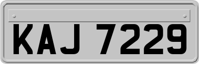 KAJ7229
