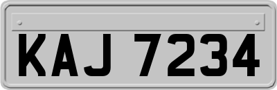 KAJ7234