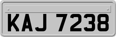 KAJ7238