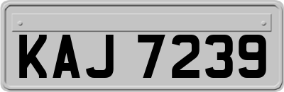 KAJ7239