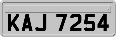 KAJ7254