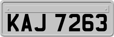 KAJ7263