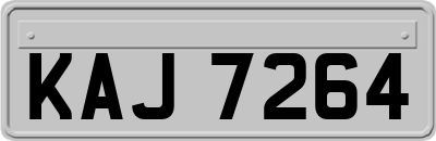 KAJ7264