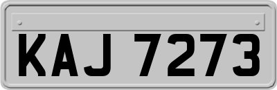 KAJ7273