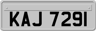 KAJ7291