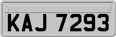 KAJ7293
