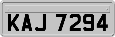 KAJ7294