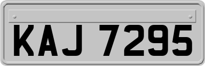 KAJ7295