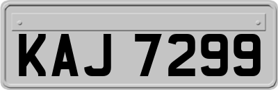 KAJ7299