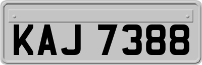 KAJ7388