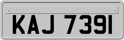 KAJ7391