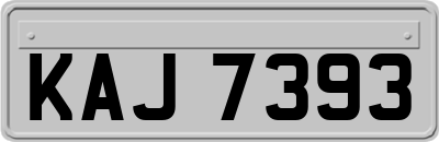 KAJ7393
