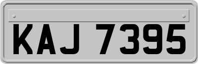 KAJ7395
