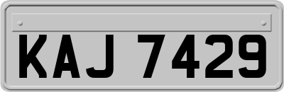 KAJ7429