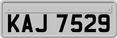 KAJ7529