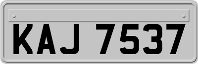 KAJ7537