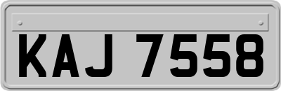 KAJ7558