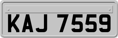 KAJ7559
