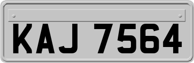 KAJ7564