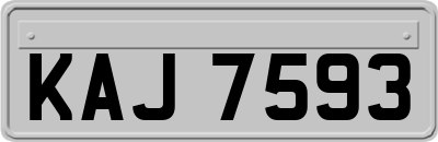 KAJ7593