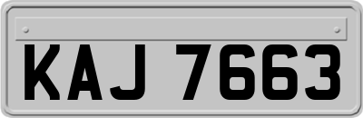 KAJ7663