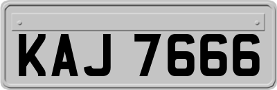 KAJ7666