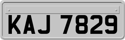 KAJ7829
