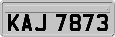 KAJ7873