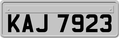KAJ7923