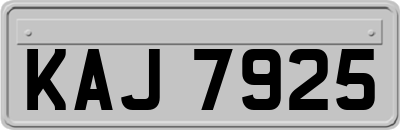 KAJ7925