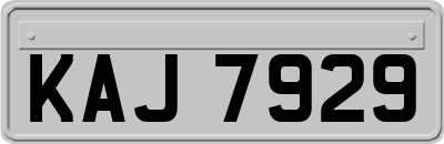 KAJ7929