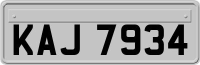 KAJ7934