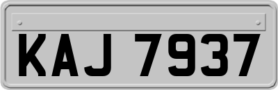 KAJ7937