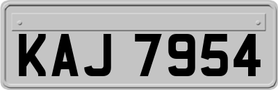 KAJ7954