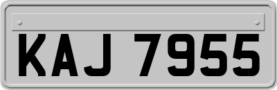 KAJ7955