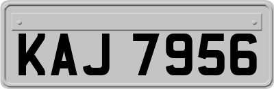 KAJ7956