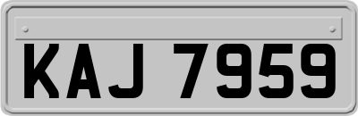 KAJ7959