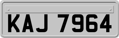 KAJ7964