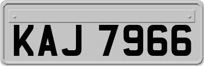 KAJ7966