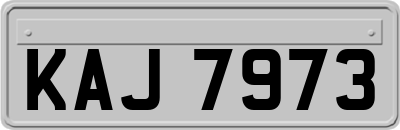 KAJ7973