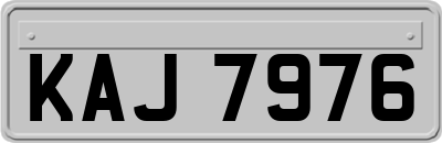 KAJ7976