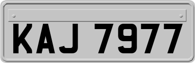 KAJ7977