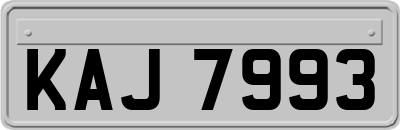 KAJ7993